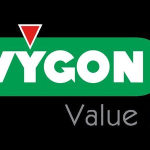 Vygon Corporation
